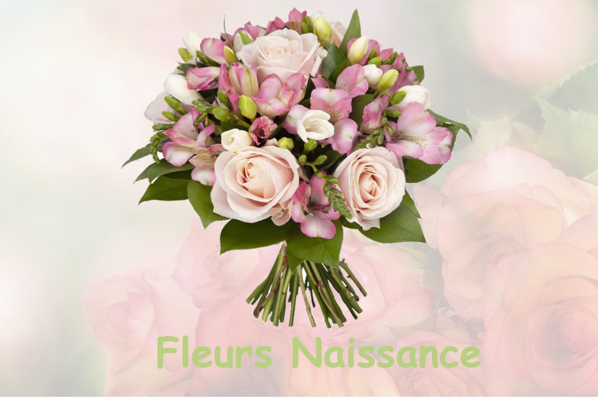 fleurs naissance LA-BUSSIERE-SUR-OUCHE