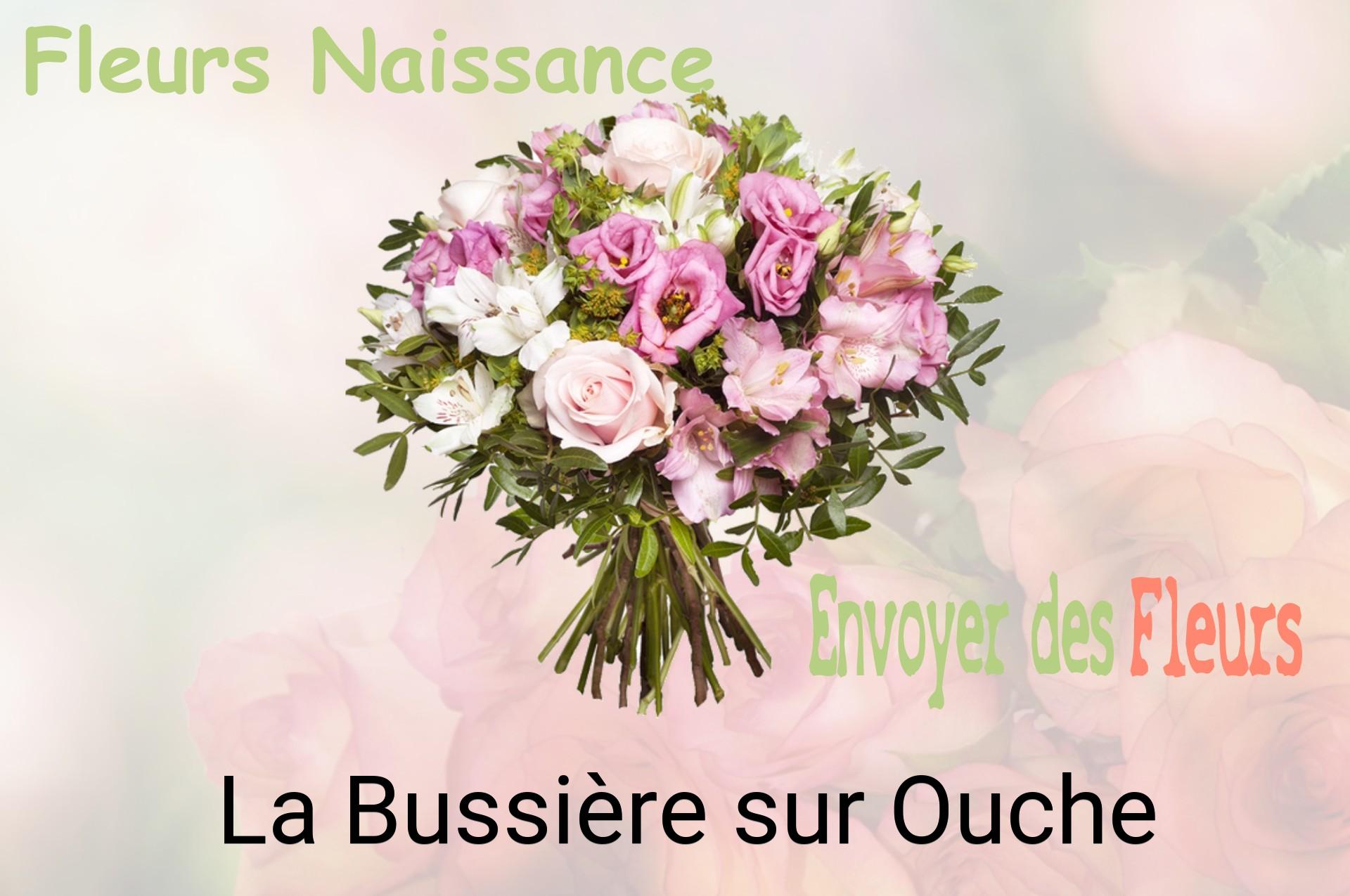 Bouquet de fleurs de naissance livré à La Bussière-sur-Ouche